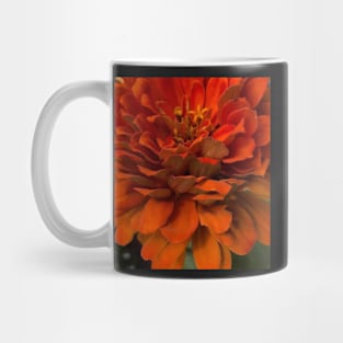 Fall Harvest Orange Zinnia Mug